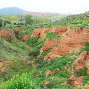 Lee más sobre el artículo Red de Microreservas Naturales Urbanas